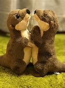 Image result for River Otter Plush