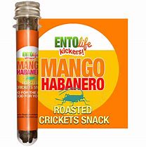 Image result for Flavored Crickets