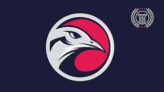 Image result for Sports Team Bird Logo