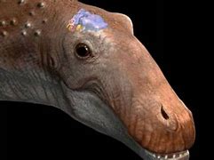 Image result for Otai Dinosaur