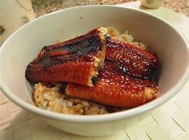 Image result for Eel On Rice