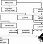 Image result for History About Piano