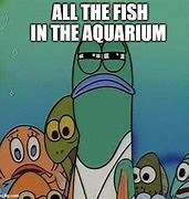 Image result for Aquarist Meme