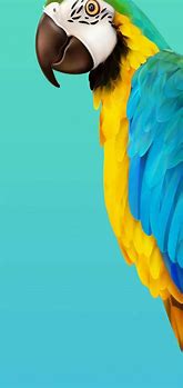 Image result for Samsung Galaxy S20 Background
