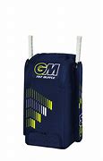 Image result for Generic Cricket Bag