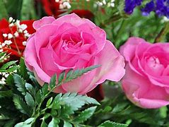 Image result for Der'rikk Rose Wallpaper