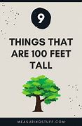 Image result for Things That Are 100 Feet Tall