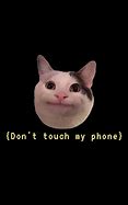 Image result for Cat Meme Collage