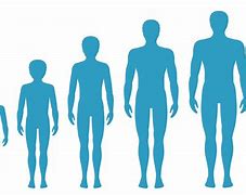 Image result for Human Body as It Ages
