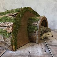 Image result for Log Habitat for Hedgehog