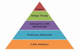 Image result for Drug Veterinary Pyramid