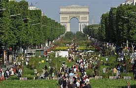 Image result for Champs Elysees Garden Qatar