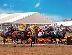 Image result for Preakness Horse Race