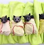 Image result for Baby Bat Called