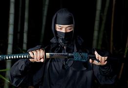 Image result for Ninjutsu Martial Arts