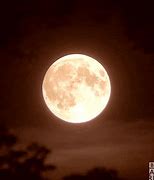 Image result for Galaxy Moon GIF