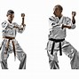 Image result for Martial Arts Male Silhouette