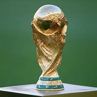 Image result for Soccer World Cup