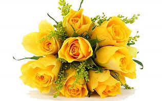 Image result for 8 Flowers
