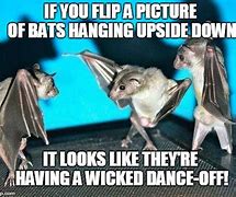 Image result for Hornify Bat Meme