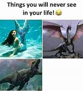 Image result for Everyday Life Memes