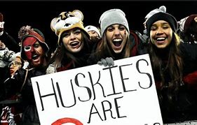 Image result for University of Washington Apple Cup Memes