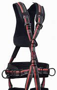 Image result for Karam Full Body Harness