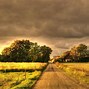 Image result for Country Road Summer