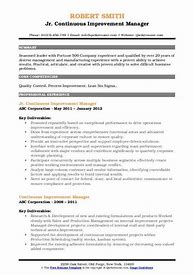 Image result for Continuous Improvement Manager Resume