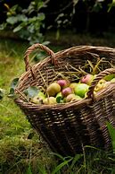 Image result for Apple Fruit Basket Love