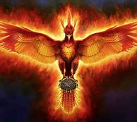 Image result for Ave Fenix Art