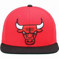 Image result for Chicago Red Bulls Hat