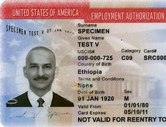 Image result for American Work Permit