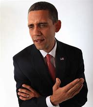 Image result for Barack Obama Look Alike