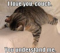 Image result for Cat Lying On Couch Meme