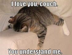 Image result for Cat Toy Under Couch Meme