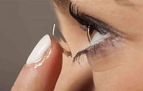 Image result for Shape of a Contact Lens