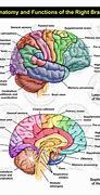 Image result for Map of Human Brain Function