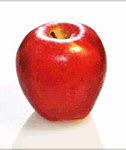 Image result for Envy Apples