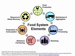 Image result for Food System Elements