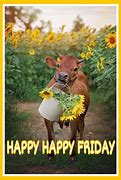 Image result for Happy Friday Baby Animals