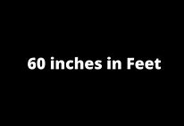Image result for 60 Inches in Feet