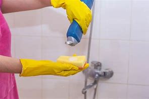 Image result for Meme 8 Year Old Who Are We Cleaning For