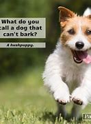 Image result for Really Funny Dog Jokes