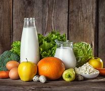 Image result for Lacto Vegetarian Diet