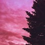 Image result for Hot Pink Background Template