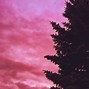 Image result for Hot Pink Grunge