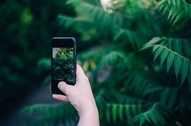 Image result for How to Take Better Photographs with a Phone
