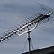 Image result for Antennas Direct