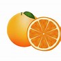 Image result for 2 Oranges Clip Art